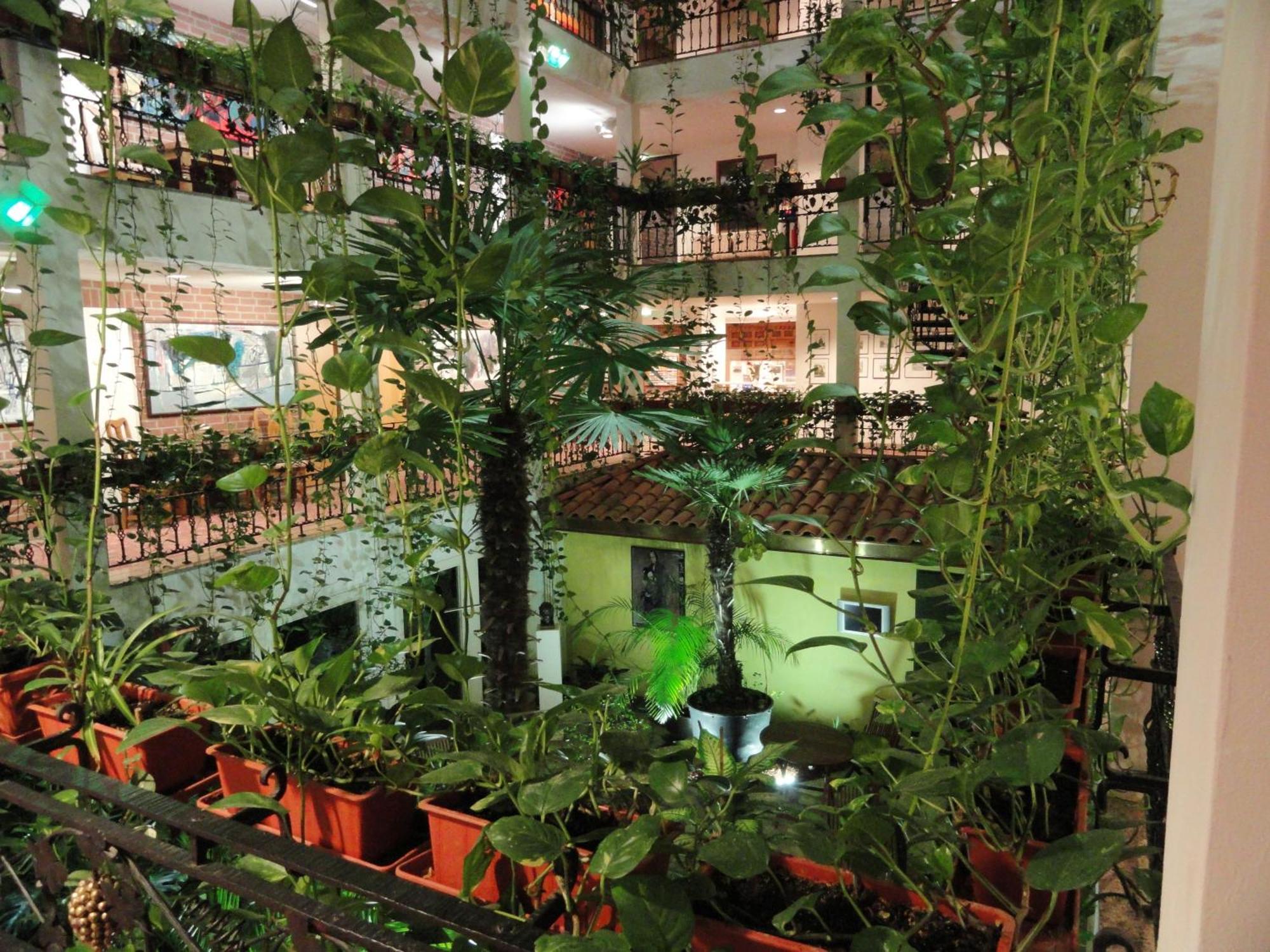 Solitaire Hotel — Fotos 1