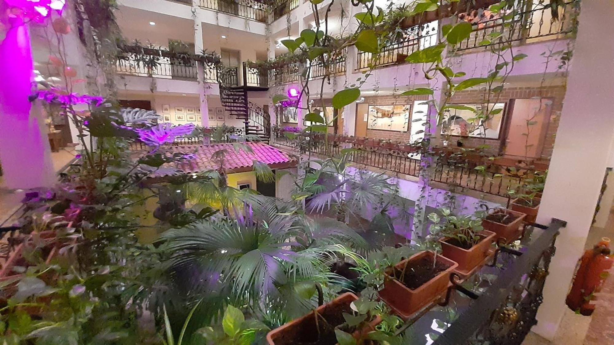 Solitaire Hotel — Fotos 3